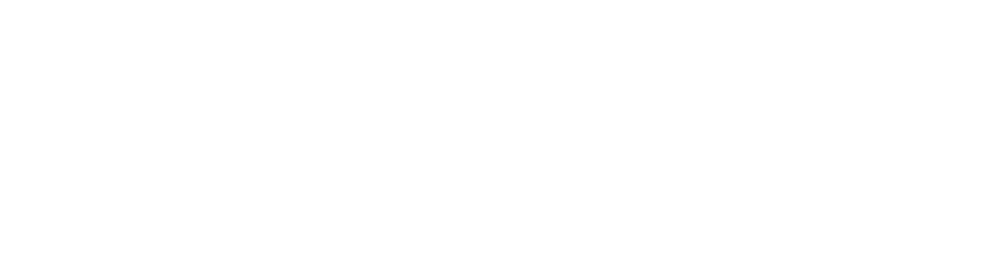 FFF_FusionVibes_LO_sm-1 (1) - Edited